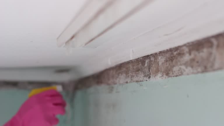 Best Residential Mold Inspection & Testing  in Glendora, CA